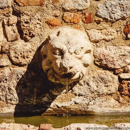Montecastello Séjour à la ferme Monteriggioni