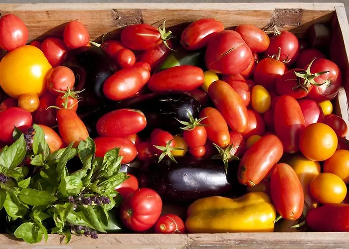 Montecastello Фермерский дом Монтериджиони