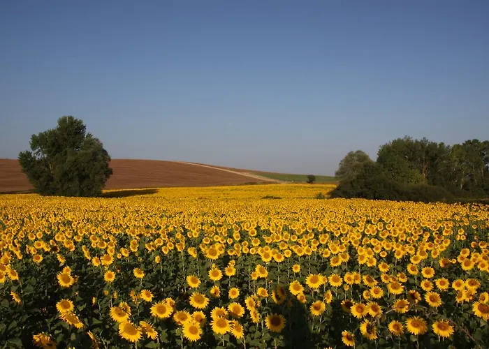 Montecastello Монтериджиони