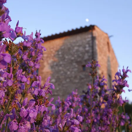 Montecastello